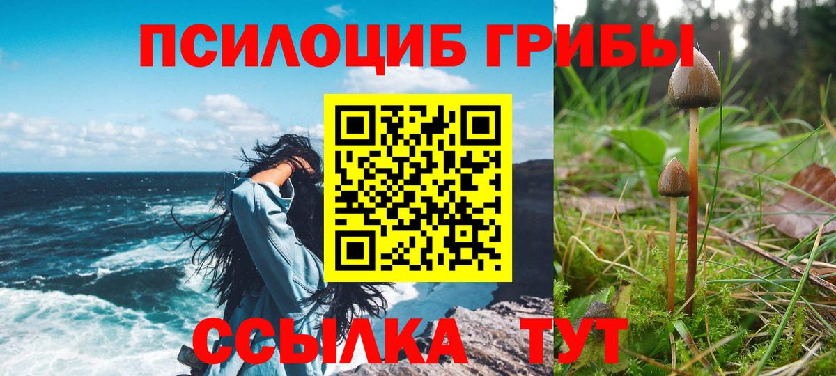 Псилоцибиновые грибы MAGIC MUSHROOMS Волоколамск